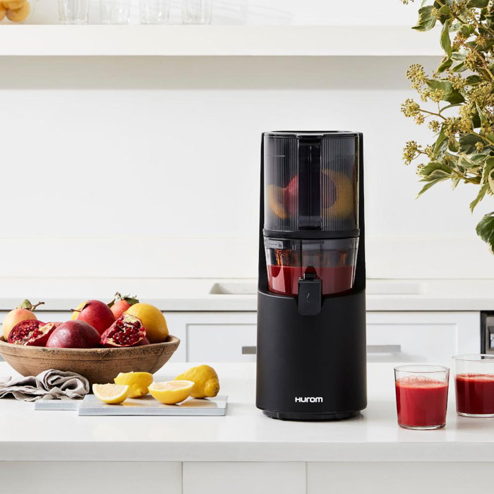 Hurom Slow Masticating & Cold Press Juicer & Reviews Wayfair